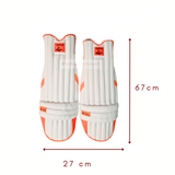 Cricket Pads Set of 2 in Germany