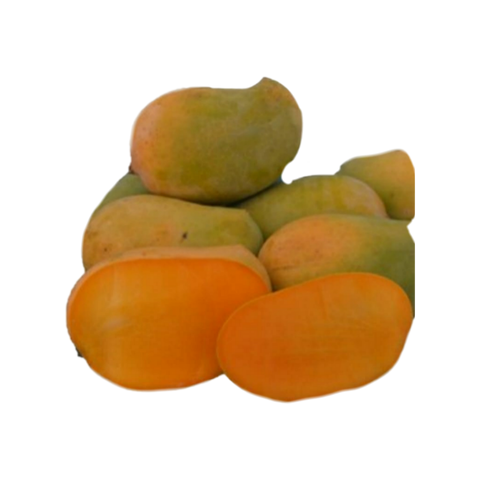Fresh Kesar Mango - indiansupermarkt
