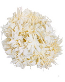 white Gajra - indiansupermarkt
