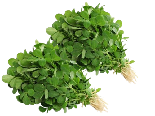 Fresh Methi  - Pack of 2Bundle