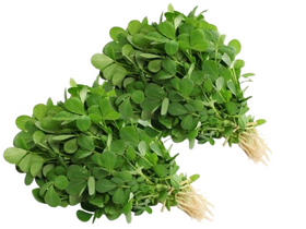 Fresh Methi  - Pack of 2Bundle