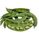 Fresh Valor Papdi  - Broad beans - Sem Phali - 500gm