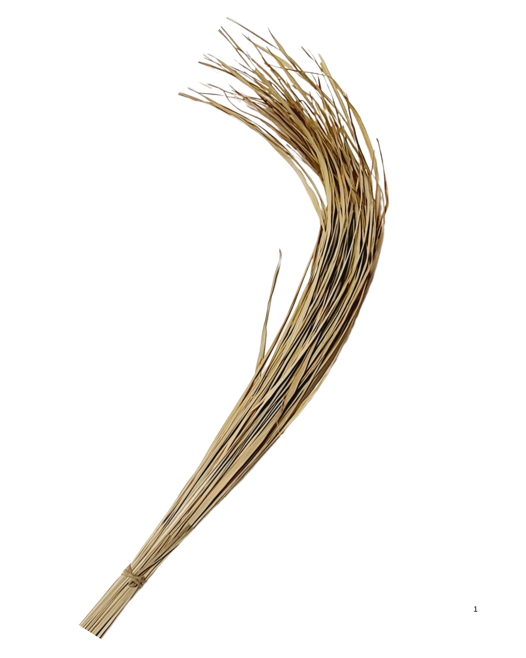 Pooja Darbha Grass (Kusha Grass) – Sacred Grass for Hindu Puja & Havan