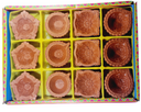 Clay Diya or  Mitti Diya - Pack of 12