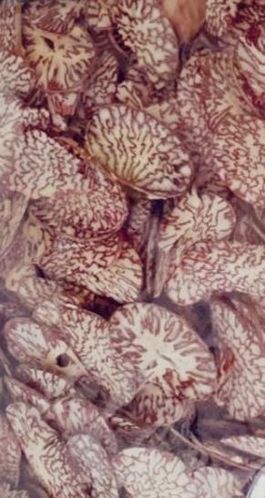 TOP OP Supari Cheel unroasted 300gm - Indiansupermarkt