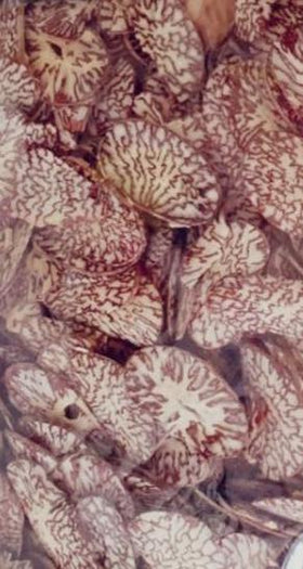 TOP OP Supari Cheel unroasted 300gm - Indiansupermarkt