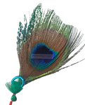 Mor Pankh/ Peacock Feather - indiansupermarkt 