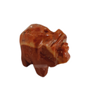 Festival Bonanza - indiansupermarkt