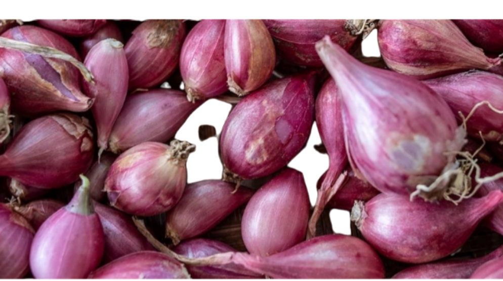 Shallots - indiansupermarkt