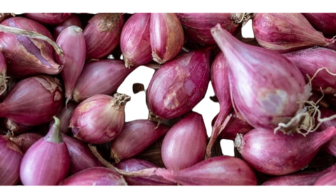 Shallots - indiansupermarkt